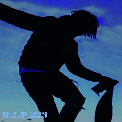 R.I.P 223 ( DELUXE)