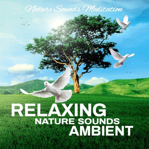 Relaxing Nature Sounds Ambient_poster_image