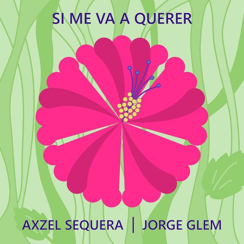 Si Me Va a Querer_poster_image