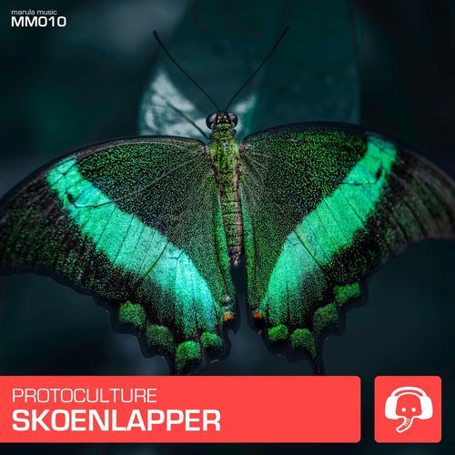 Skoenlapper