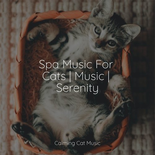 Lazy Morning cover art
