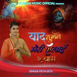 Sudhi Tumne Meri Bhulai Shyam (Hindi)