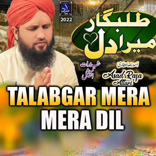 Talabgar Mera Dil 