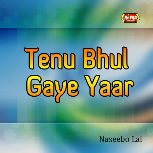 Tenu Bhul Gaye Yaar_poster_image