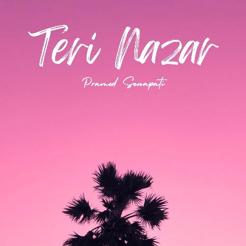 Teri Nazar