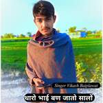 Tharo Bhai ban Jaato Saalo