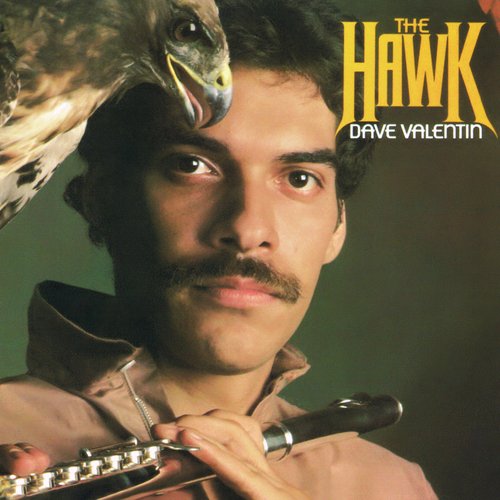 The Hawk_poster_image