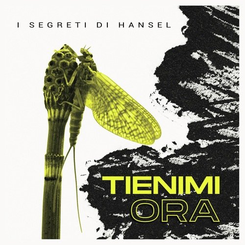 Inout cover art