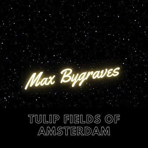 Tulip Fields of Amsterdam