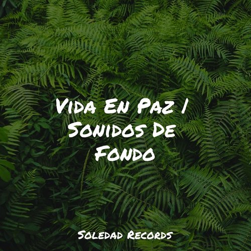 Domingo Relajado cover art