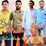 36 Biradari Bhaichara