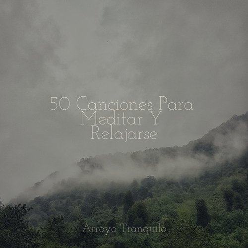 50 Canciones Para Meditar Y Relajarse_poster_image