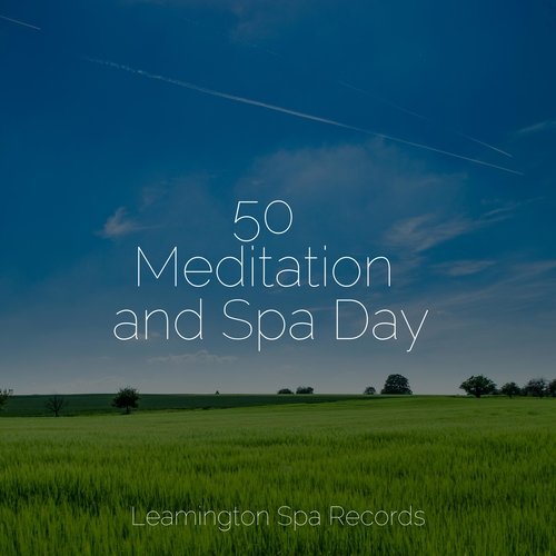 50 Meditation and Spa Day