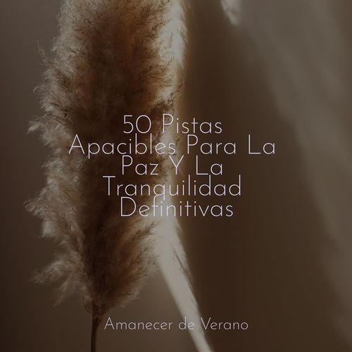 50 Pistas Apacibles Para La Paz Y La Tranquilidad Definitivas