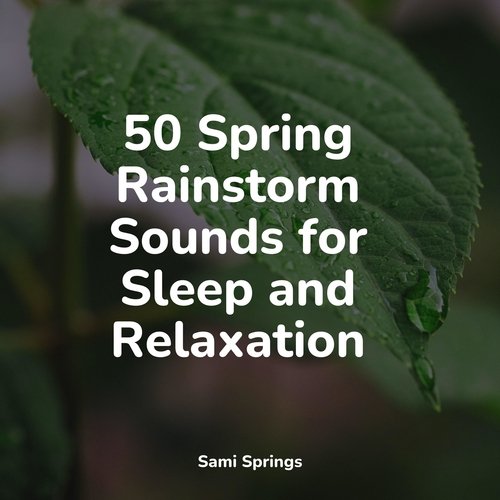 50 Spring Rainstorm Sounds for Sleep and Relaxation