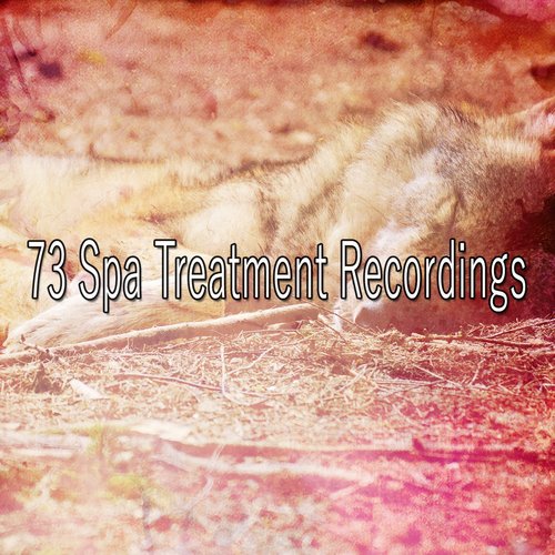 73 Spa Treatment Recordings_poster_image