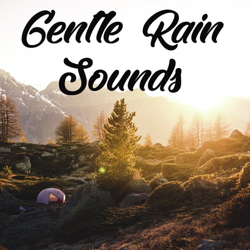 A Gentle Rain Sounds Compilation