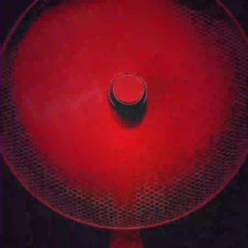 A S Y L U M cover art