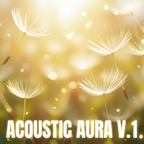 Acoustic aura v.1