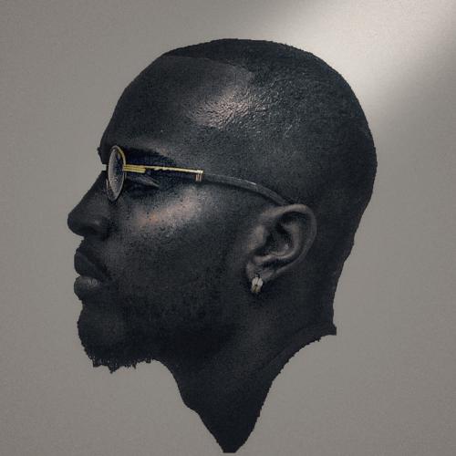 Snoop cover art