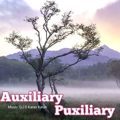 Auxiliary Puxiliary