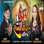 Bharvi Romapir Ni Bij