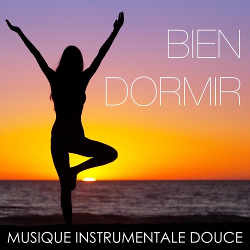 Bien Dormir: Musique Instrumentale Douce pour Dormir, Berceuse pour Dormir