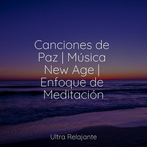 Canciones de Paz | Música New Age | Enfoque de Meditación