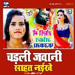 Chadli Jawani Sahat Naikhe (Bhojpuri)