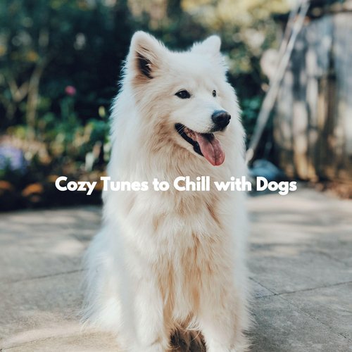 Sunny Trained Doggy cover art