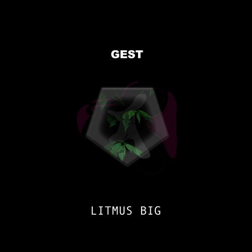 Gest cover art