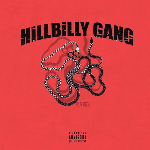 HILLBILLY GANG_poster_image