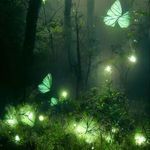 Halo (Melodic Drill)