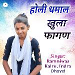 Holi Dhamaal Khula Fagan