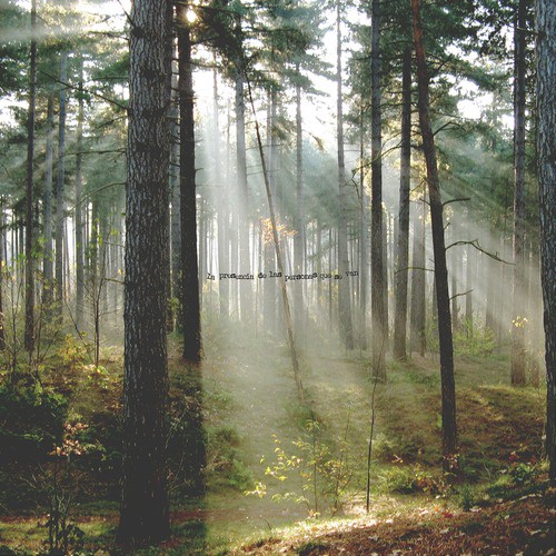 La presencia de las personas que se van