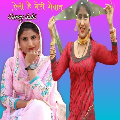 ऐसी है मेरी मेवात