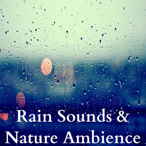 Rain Sounds &amp; Nature Ambience (Rivers, Birds &amp; Springtime Sounds)_poster_image