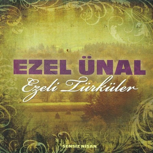Muzaffer cover art