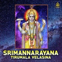 Srimannarayana Tirumala Velasina-EV0SdCRSA2M