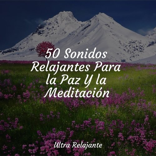 50 Sonidos Relajantes Para la Paz Y la Meditación_poster_image