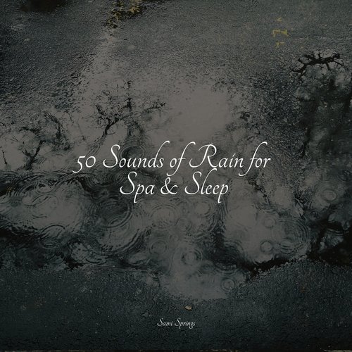 50 Sounds of Rain for Spa &amp; Sleep_poster_image