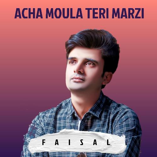 Acha Moula Teri Marzi