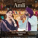 Amli
