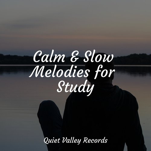 Lazy Morning cover art