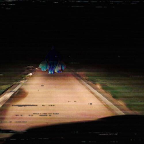 Disco Horsy 4 (feat. Hert Whiteman & Samuel Bates) cover art