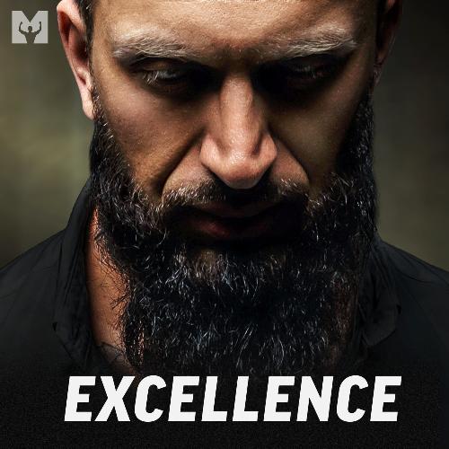 Excellence (Motivational Speech)_poster_image