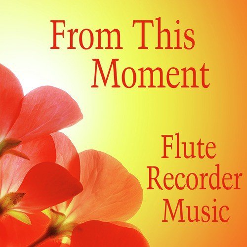 Flute Recorder: From This Moment