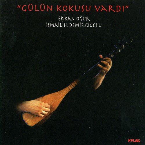 Gülün Kokusu Vardı_poster_image