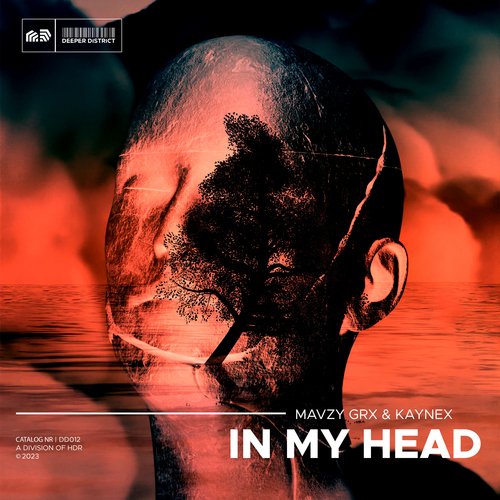 In My Head_poster_image