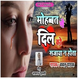 Mohabbat Se Dil Ko Sajaya Na Hota
